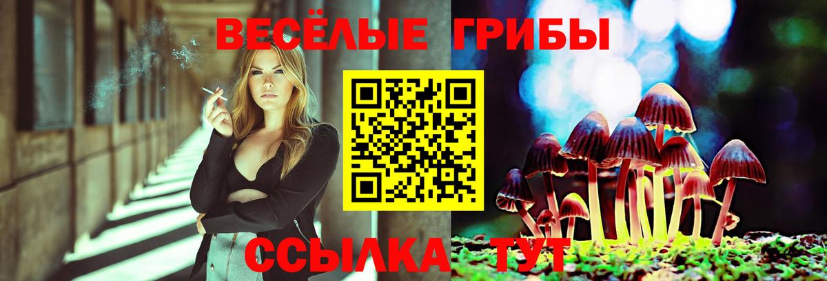 Галлюциногенные грибы GOLDEN TEACHER  Псилоцибиновые грибы мицелий  Грязи  магазин    Вход с VPN 